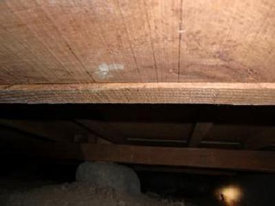 戦争で残った家の床下です　一部分がとくに低くてもぐれません、白蟻駆除材は多めに吹き込みました